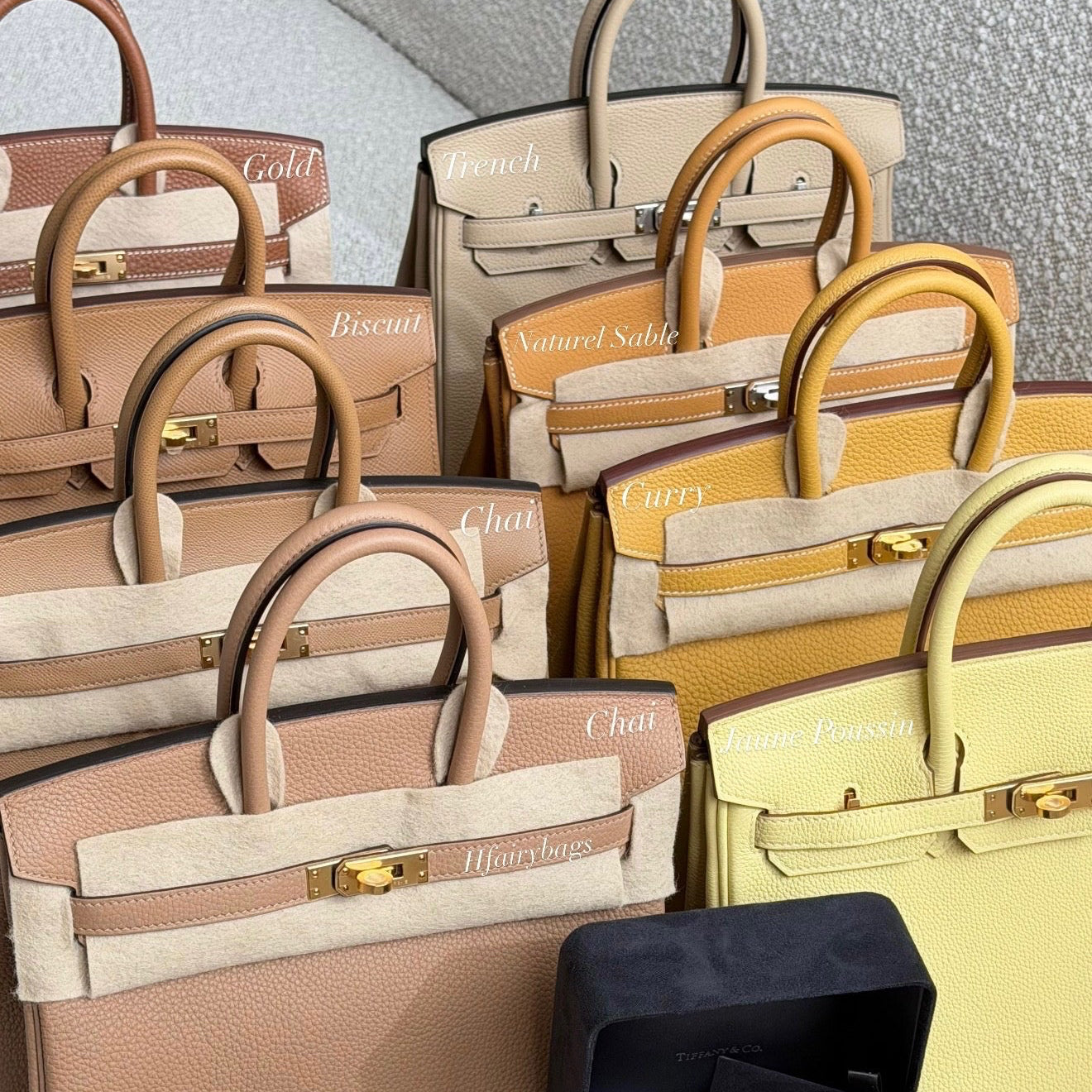 Authentic Hermès Birkin 25