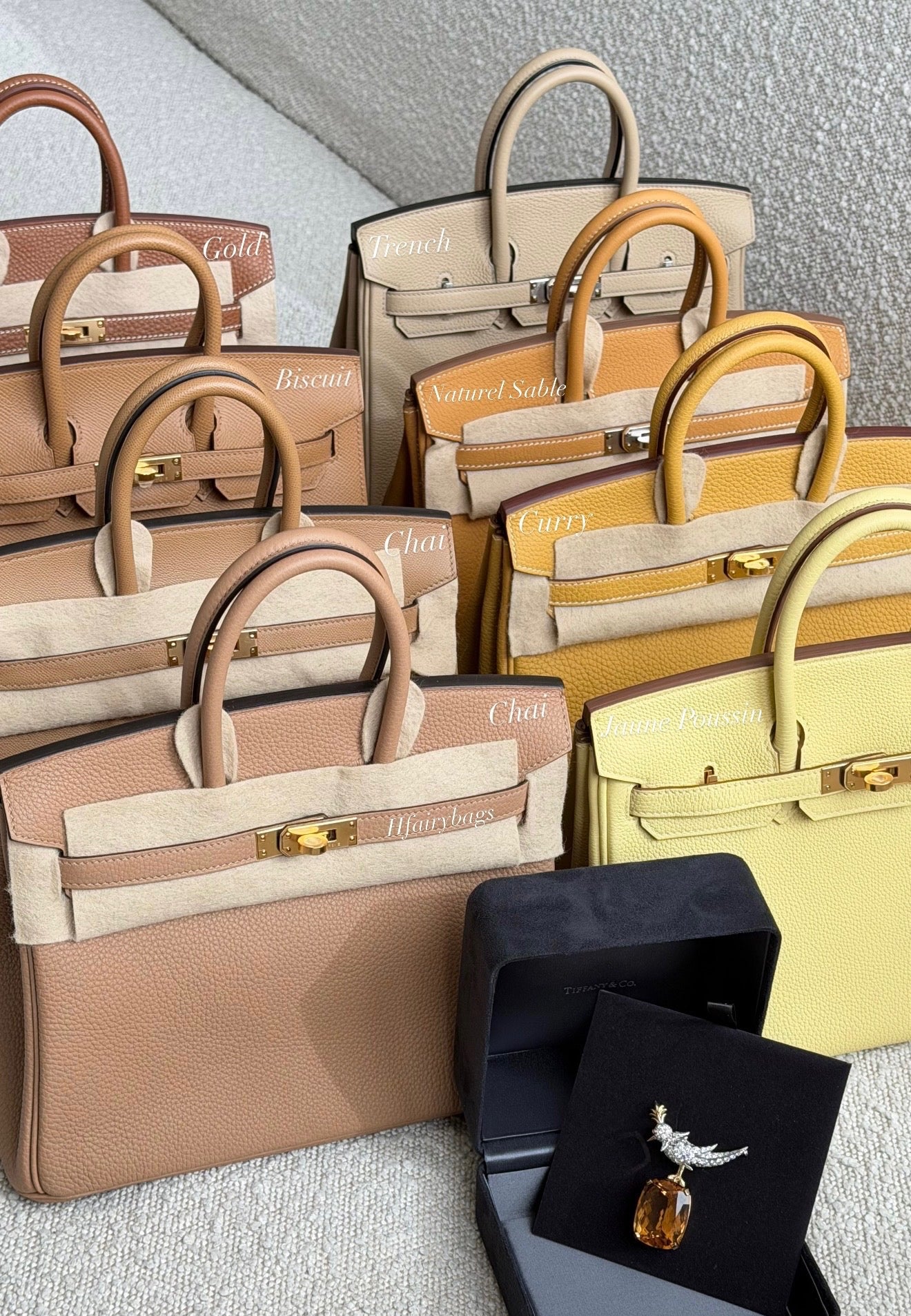 Authentic Hermès Birkin 25