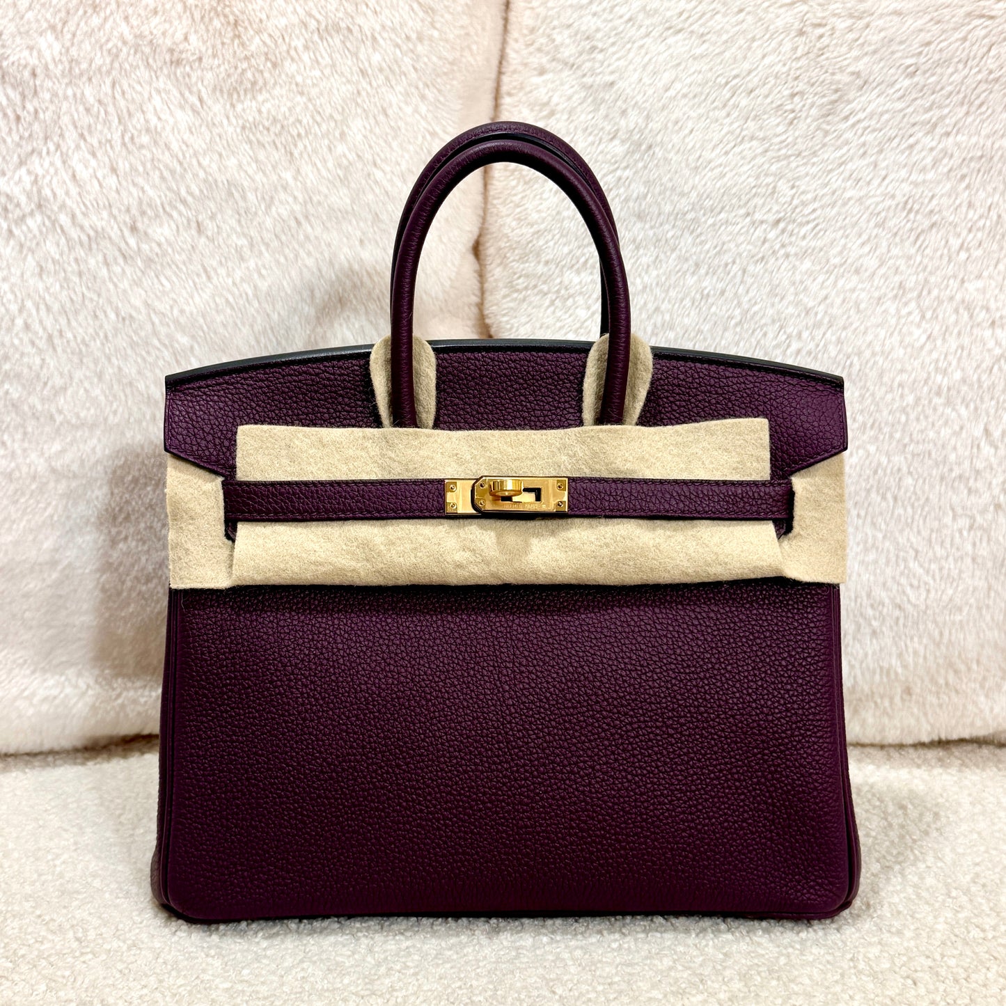 Hermès Birkin 25 Togo Leather Cassis with Gold Hardware